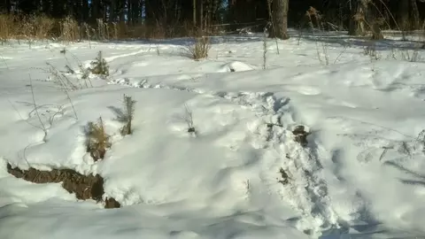 Участок в Алтай, Майминский район, с. Манжерок  (10.0 сот.)