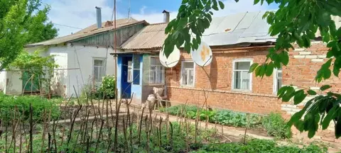 Дом в Ростовская область, Таганрог ул. Нижняя Линия (39 м)