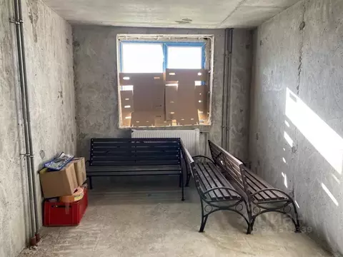 Торговая площадь в Ленинградская область, Всеволожский район, ...