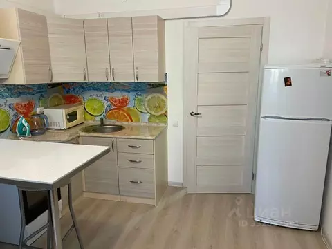 Студия Санкт-Петербург Парашютная ул., 42к2 (24.0 м)