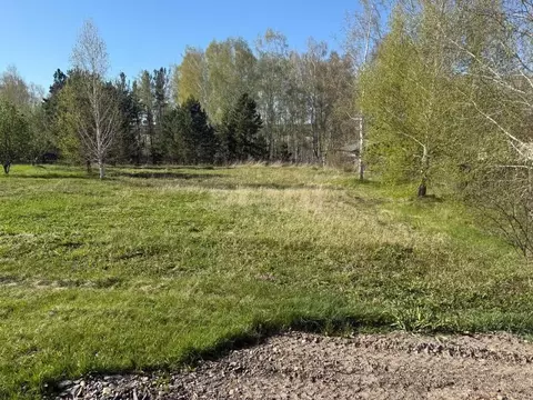 Участок в Красноярский край, Емельяновский муниципальный округ, д. ...