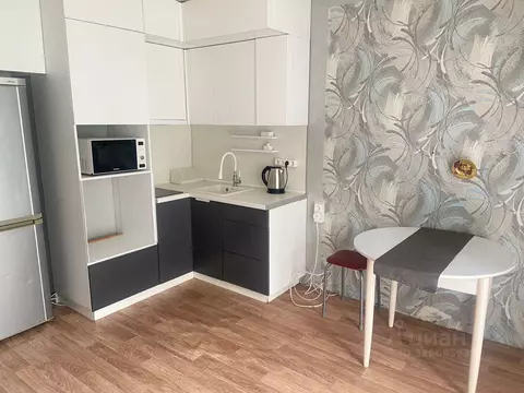 Студия Челябинская область, Челябинск ул. Толбухина, 7 (24.0 м)