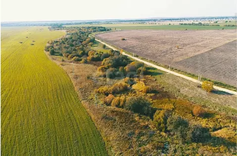 Участок в Ленинградская область, Гатчинский район, Марьин ручей кп  ...