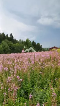 Участок в Вологодская область, д. Стризнево (Старосельский сельсовет)  ...
