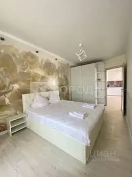 Студия Новосибирская область, Новосибирск ул. Ясный Берег, 10 (62.5 м)