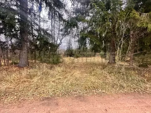 Участок в Смоленская область, Рославльский муниципальный округ, д. ...