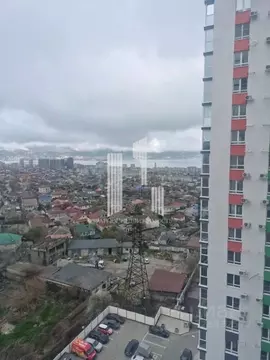 Студия Краснодарский край, Новороссийск ул. Куникова (21.7 м)