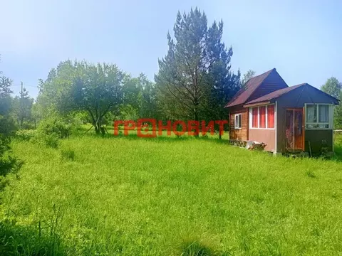 Дом в Новосибирская область, Искитимский район, Морозовский сельсовет, ...