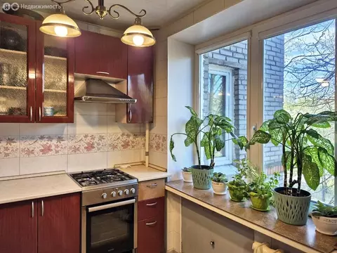 2-комнатная квартира: Санкт-Петербург, Витебский проспект, 81к1 (58 м)