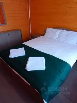 Дом в Рязанская область, Пронск рп  (56 м)