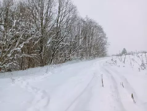 Участок в Смоленская область, Смоленский муниципальный округ, д. ...