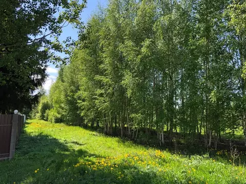 Участок в Псковская область, Печорский муниципальный округ, д. Печки  ...