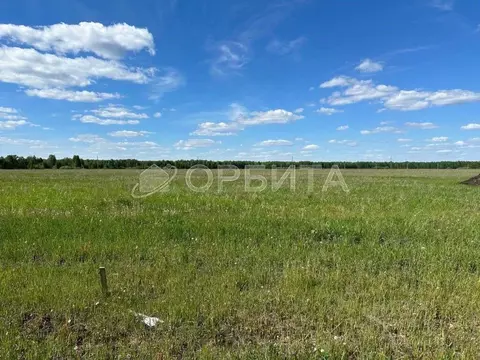 Участок в Тюменская область, Тюменский муниципальный округ, с. Каскара ...