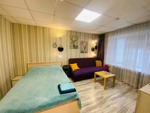 1-к кв. Вологодская область, Череповец Пионерская ул., 23Б (28.0 м)