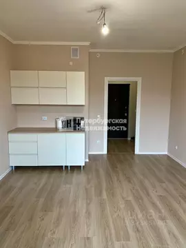 Студия Санкт-Петербург пос. Стрельна, просп. Буденного, 24к3 (25.2 м)