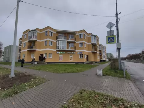 Студия Ленинградская область, Всеволожский район, Дубровское городское ...