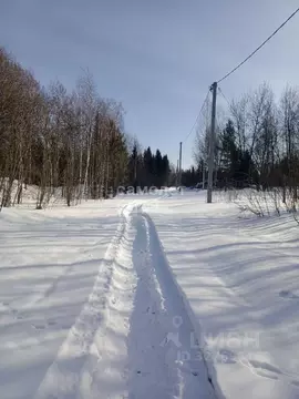 Участок в Томская область, Томск пос. Родионово, ул. Маршала Жукова, ...