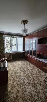 1-к кв. Нижегородская область, Дзержинск ул. Буденного, 21 (31.5 м)