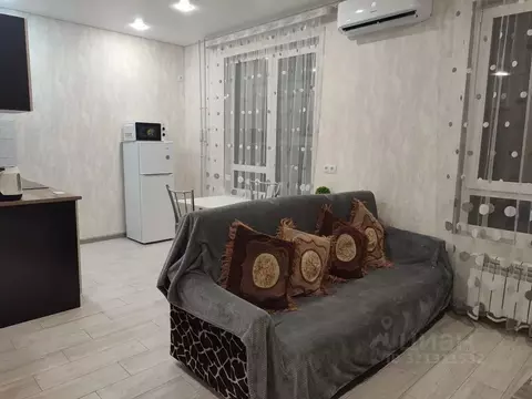 Студия Пензенская область, Пенза ул. Шмидта, 24 (32.0 м)