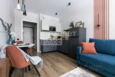 Студия Санкт-Петербург Планерная ул., 87к1 (19.5 м)