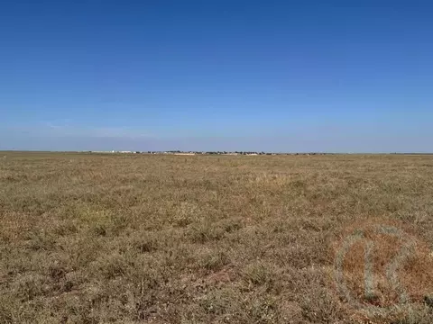 Участок в Крым, Сакский район, с. Молочное  (414.0 сот.)