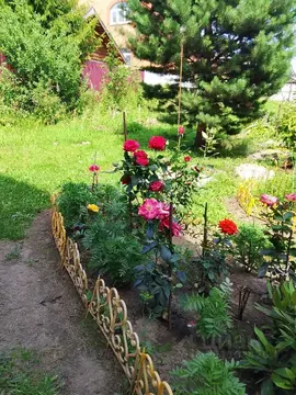 1-к кв. Московская область, Раменский муниципальный округ, д. Поповка  ...