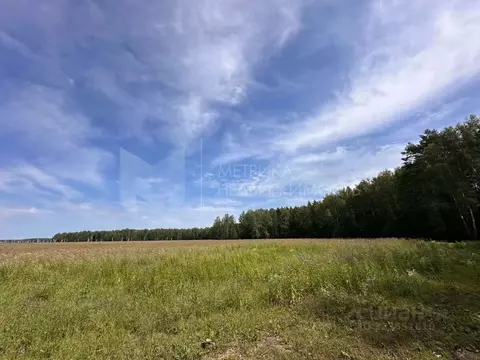 Участок в Тюменская область, Тюменский муниципальный округ, с. Кулига ...