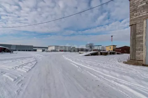 Склад в Забайкальский край, Чита пос. Кадала, Дуговой проезд, 10 (319 ...