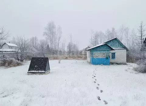 Дом в Брянская область, Брянский район, Нетьинское с/пос, Березовая ...