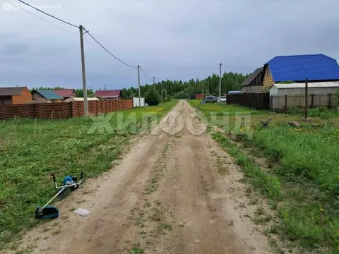 Участок в Новосибирская область, Коченёвский муниципальный район, СНТ ...