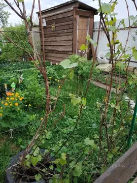 Дом в Марий Эл, Йошкар-Ола Коммунальник СНТ, 19-я линия (65 м)