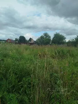 Участок в Московская область, Клин городской округ, д. Щекино  (5.0 ...