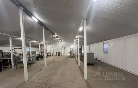 Производственное помещение в Санкт-Петербург пос. Шушары, Московское ...