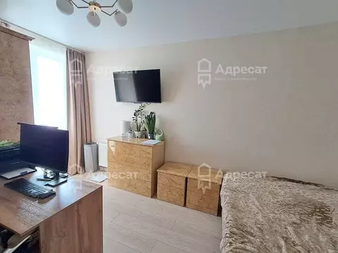 1-к кв. Волгоградская область, Волгоград ул. Гаря Хохолова, 11 (27.1 ...