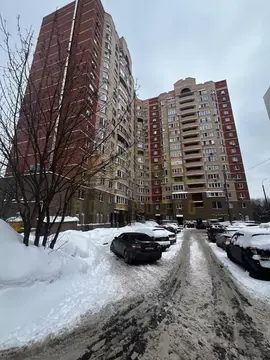 Студия Московская область, Балашиха Кучино мкр, ул. Центральная, 8 ...
