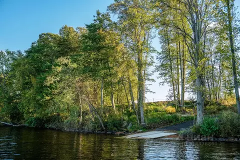 Участок в Ленинградская область, Приозерский район, Громовское с/пос, ...