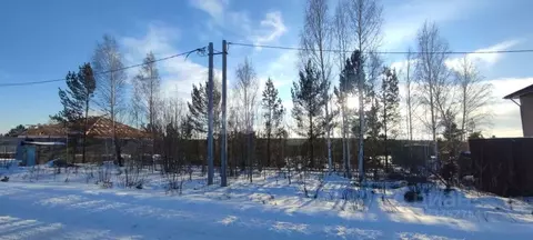 Участок в Свердловская область, Талица ул. Березовая (12.67 сот.)