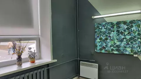 Помещение свободного назначения в Тверская область, Тверь Новоторжская ...