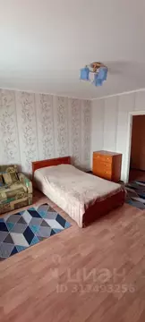 1-к кв. Челябинская область, Магнитогорск ул. 50-летия Магнитки, 29/1 ...