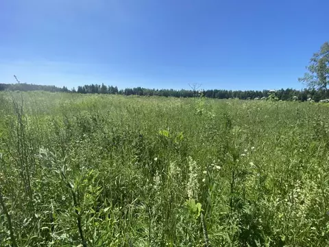 Участок в Московская область, Клин городской округ, д. Щекино, ...