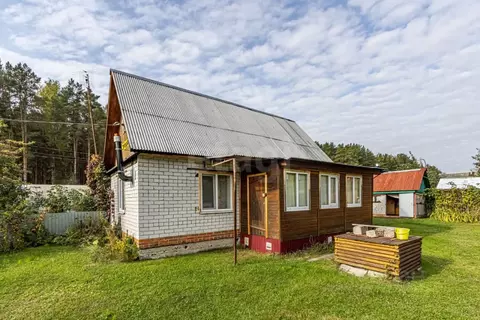 Дом в Тюменская область, Тюмень Дорожник СНТ, ул. Березовая (57 м)