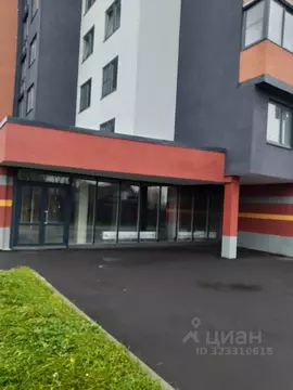 Студия Ленинградская область, Всеволожский район, Романовское с/пос, ...