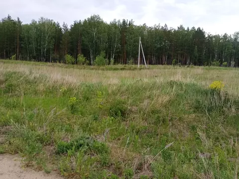 Участок в Свердловская область, Екатеринбург Русь садоводческое ...