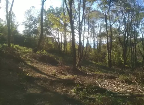 Участок в Краснодарский край, Сочи пос. Нижняя Беранда,  (2.4 га.)