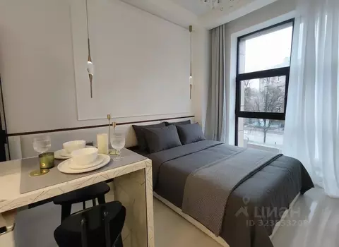 Студия Московская область, Жуковский ул. Гагарина, 3а (21.0 м)