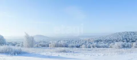 Участок в Камчатский край, Елизово  (11.46 сот.)