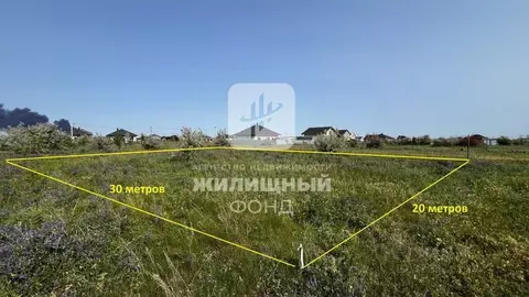 Участок в Саратовская область, Энгельсский район, Новопушкинское ...