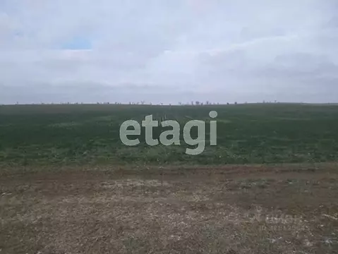 Участок в Крым, Сакский район, с. Фрунзе  (1000.0 сот.)