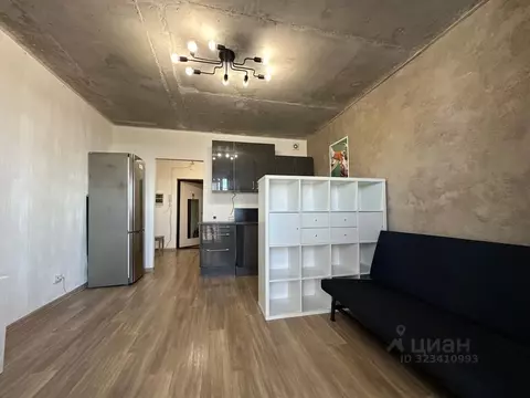 Студия Ленинградская область, Мурино Всеволожский район, бул. ...