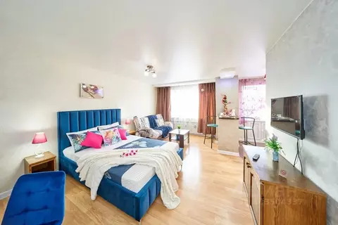 Студия Пермский край, Пермь Сибирская ул., 53 (33.0 м)